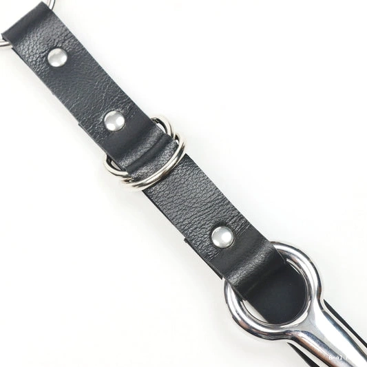 Kinky Leash Collar Anal with 5853 and EverydayUse Hook 0915